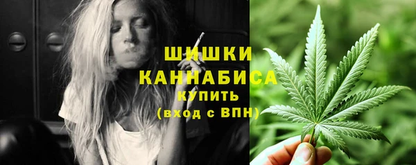 стаф Бронницы