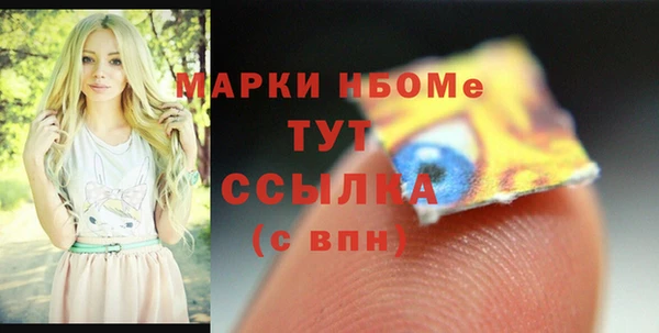 хмурый Богородицк