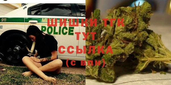 apvp Богданович