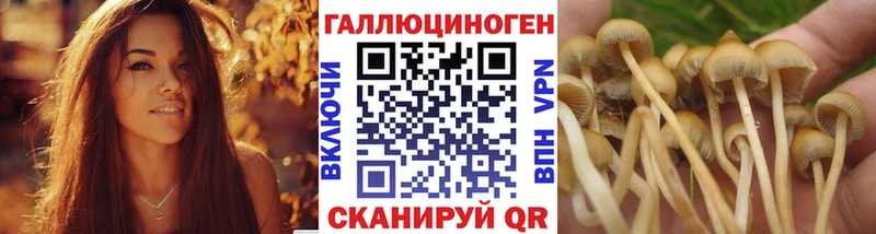 Галлюциногенные грибы Psilocybine cubensis  это какой сайт  Карабулак  закладка 