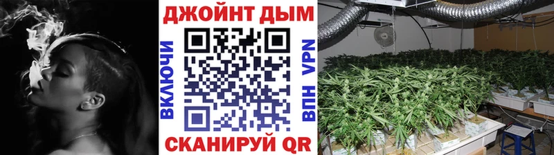 где найти наркотики  Карабулак  hydra как войти  Марихуана White Widow 